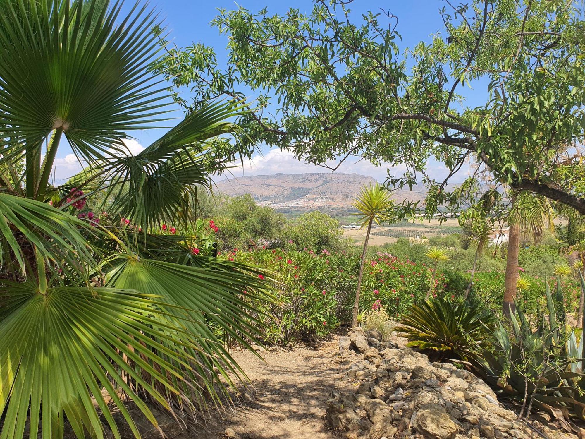 Finca Flamenco Holiday Suites Adults Only Pizarra Exterior photo